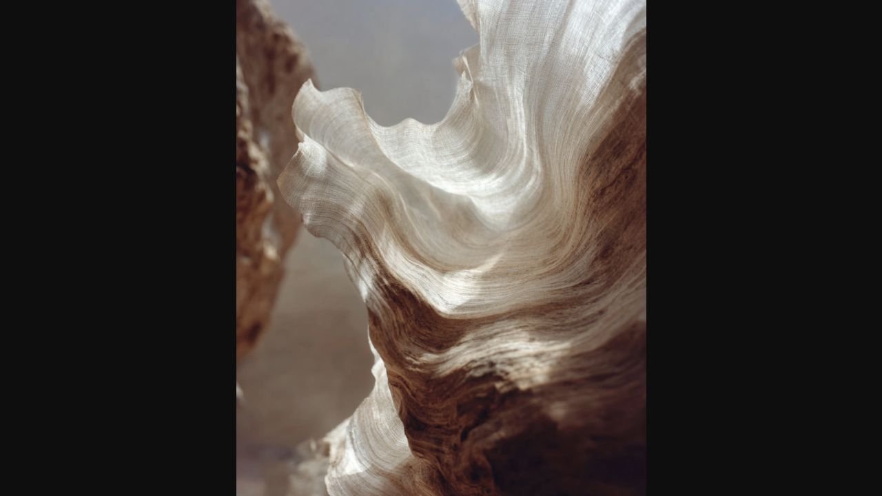 Abstract organic form shaped by light